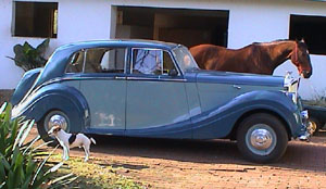 1951 Bentley