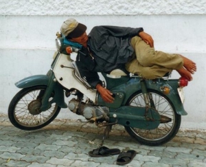 Bike Bed