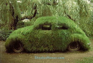 grass car