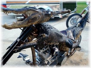 Croc Bike